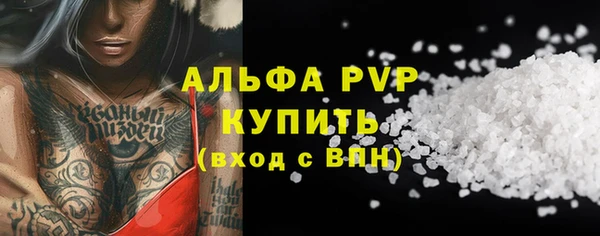 молекула духа Богородицк