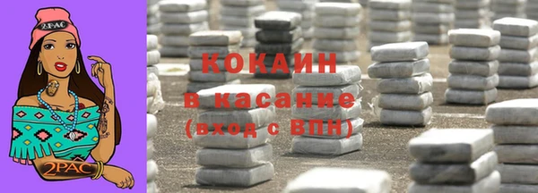 молекула духа Богородицк