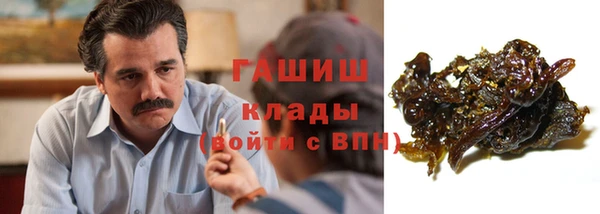 Альфа ПВП Бородино