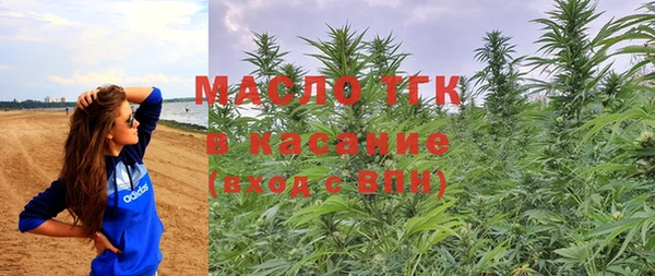 молекула духа Богородицк