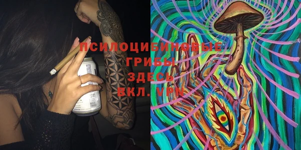 эйфоретик Осташков