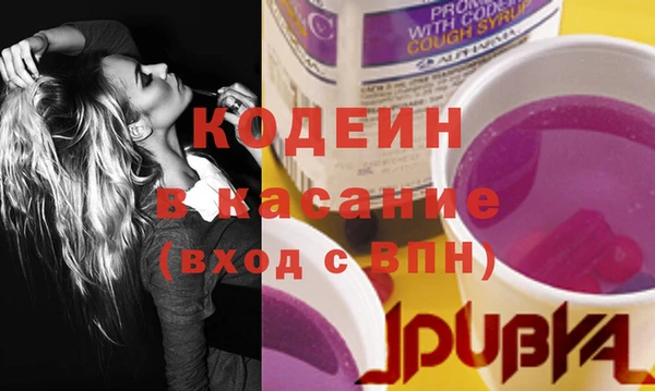 шишки Богородск